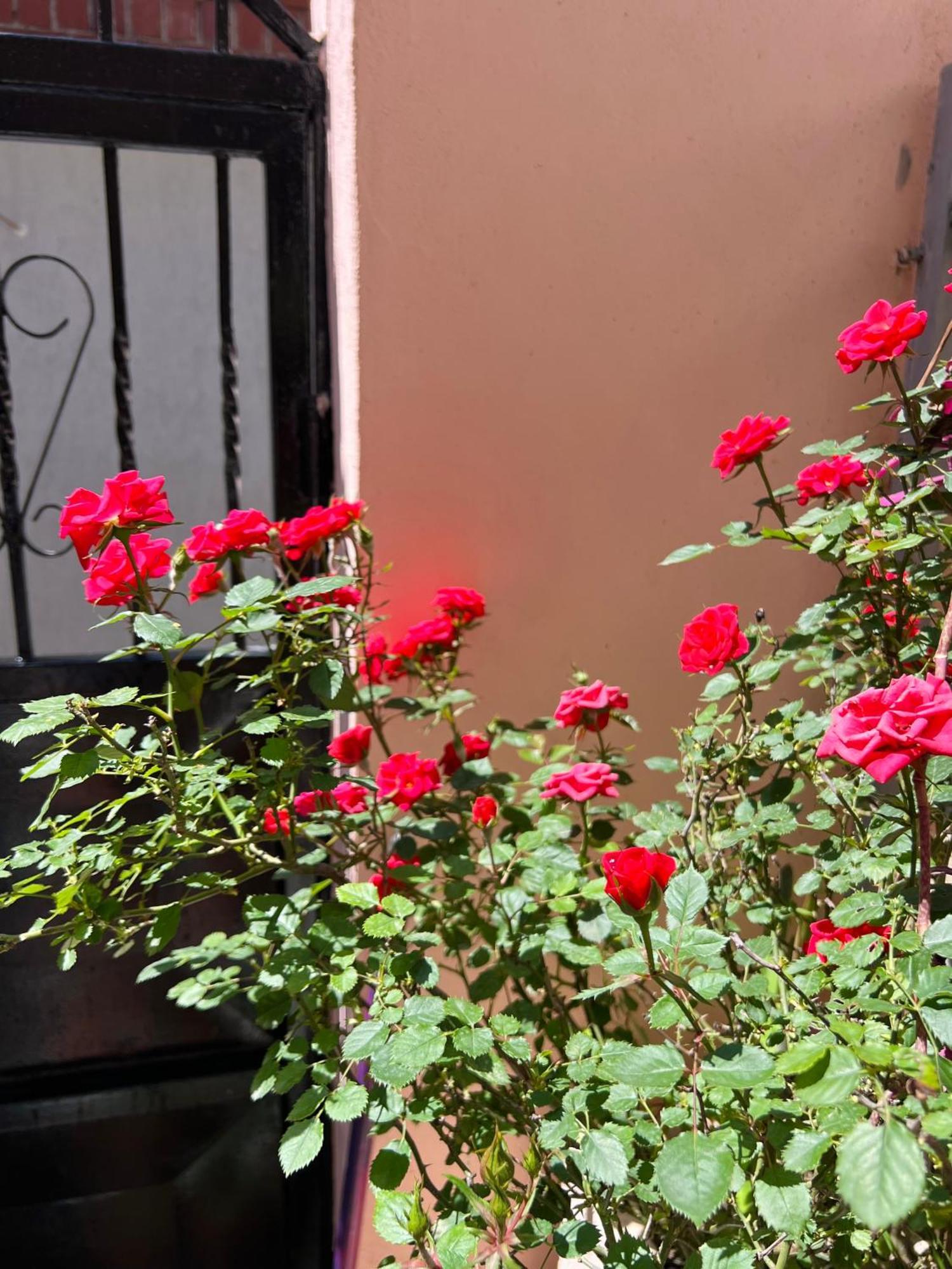 Villa Ensalv Berat - Apartment - Room - Penthouse Quarto foto